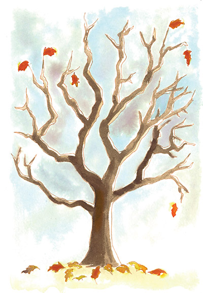 Illustration from ‘Liquidamber’